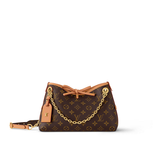 Louis Vuitton 'CarryAll BB' Bag – Monogram Canvas