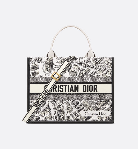 Dior Medium Dior Book Tote Plan de Paris