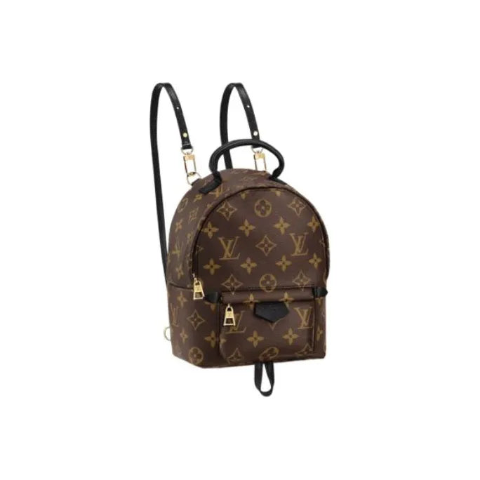 Louis Vuitton 'Palm Springs Mini' Backpack – Monogram Canvas