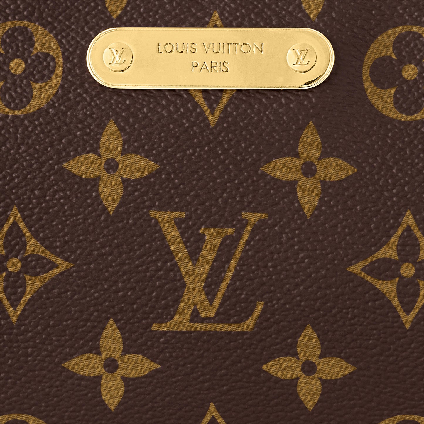 Louis Vuitton Monogram Canvas Liv Pochette Shoulder Bag