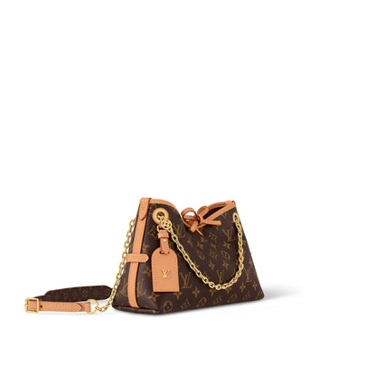 Louis Vuitton 'CarryAll BB' Bag – Monogram Canvas