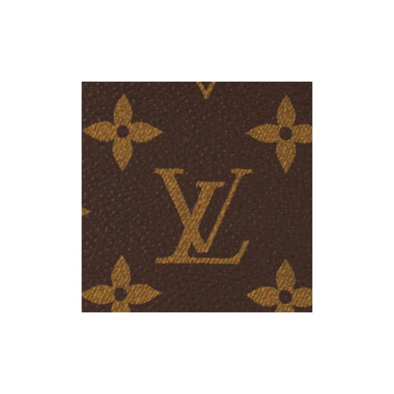 Louis Vuitton 'Vibe Monogram' bag – Monogram canvas