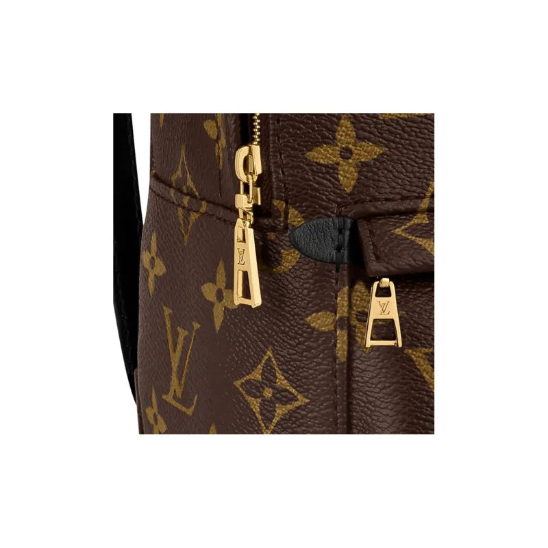 Louis Vuitton 'Palm Springs Mini' Backpack – Monogram Canvas